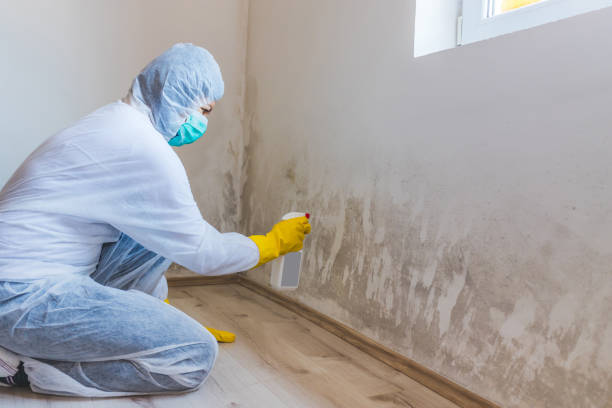 Licensed Mold Removal service in Thomasville, NC - 24 Hour Mold Removal