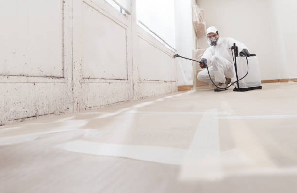 24/7 Emergency Mold Removal experts in Thomasville, NC