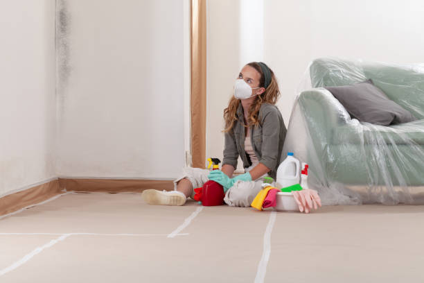 Reliable Mold Removal contractor in Thomasville, NC by 24 Hour Mold Removal